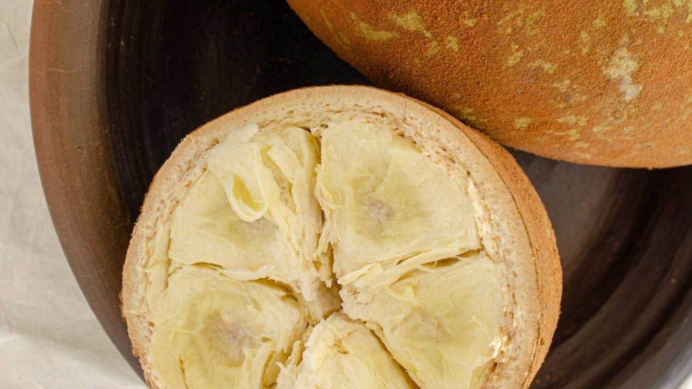 Cupuacu Butter Natural and Organic Skincare Ingredient