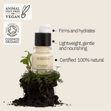 The Eye Cream